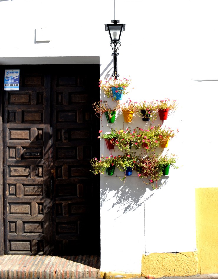 colourful flower pots.jpg